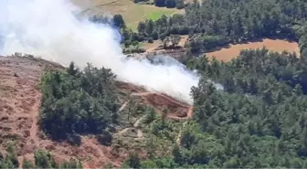 Son dakika haberi... Çanakkale'de orman yangını