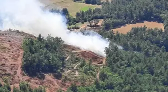 Son dakika haberi! Çanakkale Yenice'de ormanlık alanda çıkan yangın kontrol altına alındı