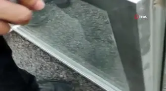 Kuafördeki yılan paniği itfaiyenin bahçesinde bitti