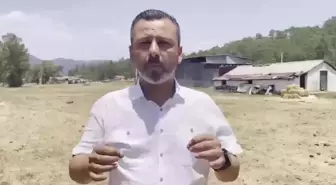 Son dakika: Muğla Milletvekili Erbay: 'Askeri Uçaklar, Askeri Helikopterler, Çift Pervaneli Helikopterler Yangın Saray'a Yönelince Ortaya Çıktı'