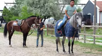 Rahvan atçılar devletten yem desteği istiyor