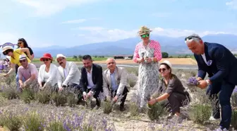 Salihli'de lavanta şenliğinin üçüncüsü yapıldı