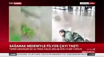 Muhabir canlı yayında rögara düştü