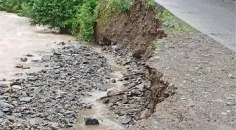 Zonguldak'ta sağanak; evler ve tarım alanları su altında kaldı (3)