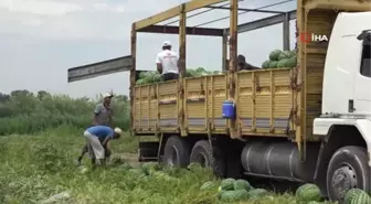 Karpuzun fiyatı yarı yarıya düştü