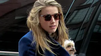 Amber Heard'ün başı bu kez de Avustralya hukukuyla dertte!