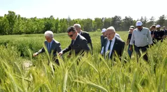 Erzurum'da 3 bin 800 svat törenle çiftçilere dağıtıldı