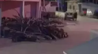 Hırsızlık zanlıları kamerada... Veresiye defteri çalınan fırıncının tek avuntusu 10 litrelik zeytinyağı oldu