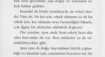 Bakan Yanık: 'Çıtır Çıtır Felsefe serisi incelenmiş ve 7 kitap muzır ilan edilmiştir'