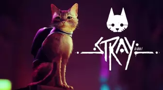 Kedi simülasyon oyunu Stray, Steam İstek listelerinde zirvede