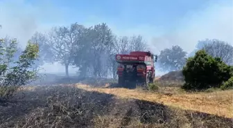 Keşan'da 2 hektar orman yandı