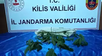 Kilis'te uyuşturucu operasyonu