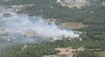 Beykoz Orman Yangınıyla İlgili Bir Kişi Gözaltına Alınıp, Serbest Bırakıldı