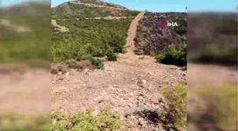 Son dakika haber! Bu şerit orman yangınlarına geçit vermiyor