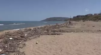 Selden etkilenen sahillerin bir bölümü çöp ve ağaç parçalarıyla doldu