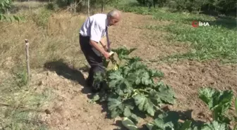 25 yıldır elektriksiz yaşadı, İHA'nın haberiyle ekipler harekete geçti