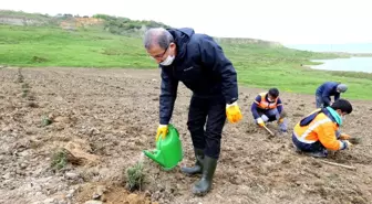 Eyüpsultan'ı lavanta kokusu saracak