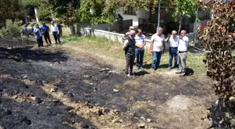 Posacı ve Kaplan yangın bölgesinde incelemelerde bulundu