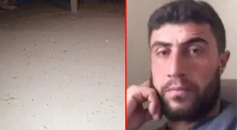 4 bin kovan bulunan düğünde 2 kişi öldü! Bir numaralı şüpheli 'Tetiğe bir kez bastım' dedi
