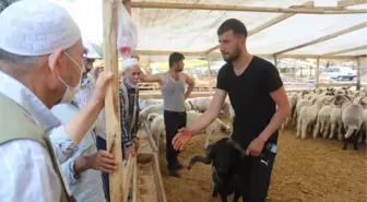 Kartal'da 200 kişilik ekip Kurban Bayramı'nda göreve hazır