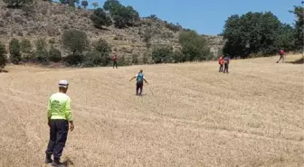 Kayıp kadının ormanda cesedi bulundu