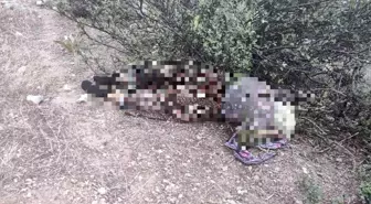 Kayıp olarak aranıyordu acı haber geldi