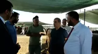 Eski AK Partili başkanın sitemi, esnaf gezisine damga vurdu: Şerefim, namusum üzerine bir daha oy vermeyeceğim