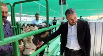 Pursaklar Belediye Başkanı Çetin: 'Bu tesis bir günde 500 büyükbaş hayvan kesme kapasitesine sahip'