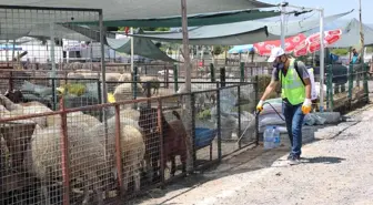 Talas'ın Kurban Pazarı'na tam not