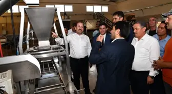 Vali Pehlivan, kuş üzümü temizleme ve paketleme tesisinde incelemelerde bulundu