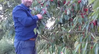 'Tarlamı bedelsiz ekip biçtin' cinayeti sanığına 36 yıl hapis cezası