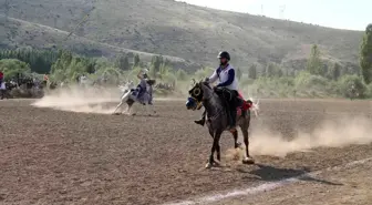 Final maçında atı şahlanan sporcu attan düştü