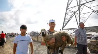 (ek bilgiyle) - Sultangazi'de kaçak kesim yapanlara ceza yağdı