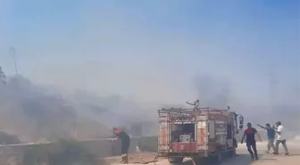 Bodrum'da makilik ve otluk alanda çıkan yangın söndürüldü