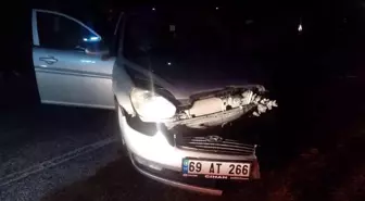 Son dakika! Zincirleme trafik kazasında 3 araç birbirine girdi: 8 yaralı