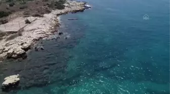 Fotoğraf tutkunları Mersin kıyılarındaki su altı kanyonları için dalıyor