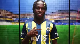 Fenerbahçe kimleri transfer etti? 2022 FB transferleri, GELENLER – GİDENLER!