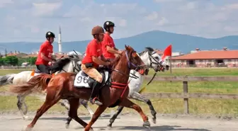 Geleneksel Rahvan At Yarışları heyecanı Gölcük'te yaşanacak