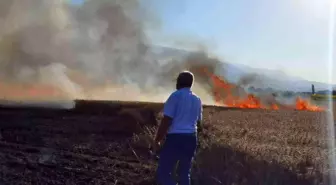 Buğday tarlası yangında küle döndü