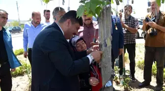 Son dakika: Şehitlerin isimleri çınar ağacında yaşayacak