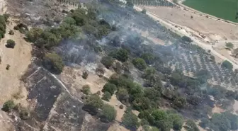 Son dakika haberi... Aliağa'daki Yangın Kontrol Altına Alındı