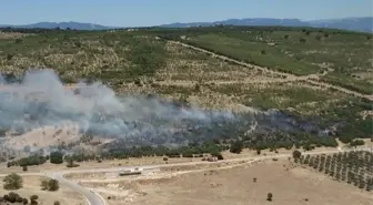 Son dakika haber... İzmir'de ziraat arazisindeki yangın kontrol altında