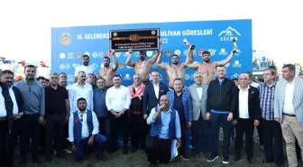 Gökbel Yağlı Güreşlerinde altın kemerin sahibi Cengizhan Şimşek oldu