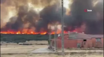 Avrupa'nın güneyi sıcak hava dalgasına teslimYangınlarda 100 bin hektardan fazla alan küle döndüİngiltere'de sıcaklıkların ilk kez 40 dereceyi...