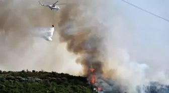 Son dakika haberi! Ekipler seferber oldu, yangın kontrol altına alındı