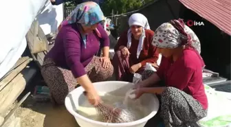 Kadınların zorlu pestil ve pekmez yapımı imece usulü ile eğlenceli hale geliyor