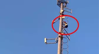 50 metre uzunluğundaki direğe tırmanan adam, boşanma aşamasındaki eşinin gelmesini istedi