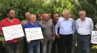 Tokatlı Üreticilerden Meyve Taban Fiyatının Geçen Yıldan Düşük Olmasına Tepki: '2 Lira Fiyat, Köylüyle Dalga Geçmekten Başka Bir Şey Değil'