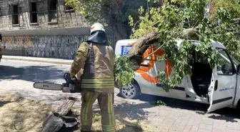 Kadıköy'de seyir halindeki aracın üzerine ağaç devrildi