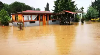 Ordu'da dereler taştı, kümes hayvanları telef oldu